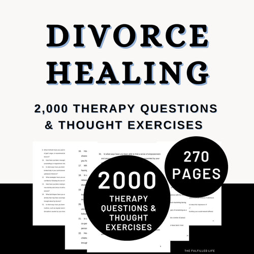 Divorce Navigation Guide