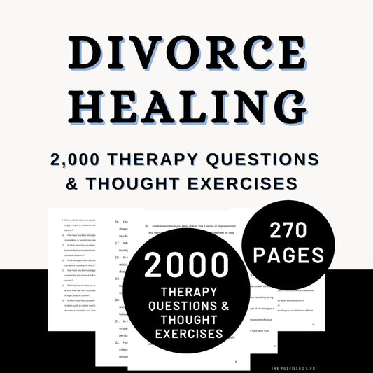Divorce Navigation Guide
